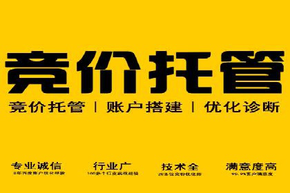 SEM广告投放策略的持续优化——某企业成功案例